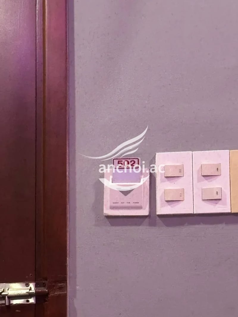 găp e hồi chiều ,lần đâu tiên mà cuốn e này rồi ,tình cảm vô cùng — ảnh 2