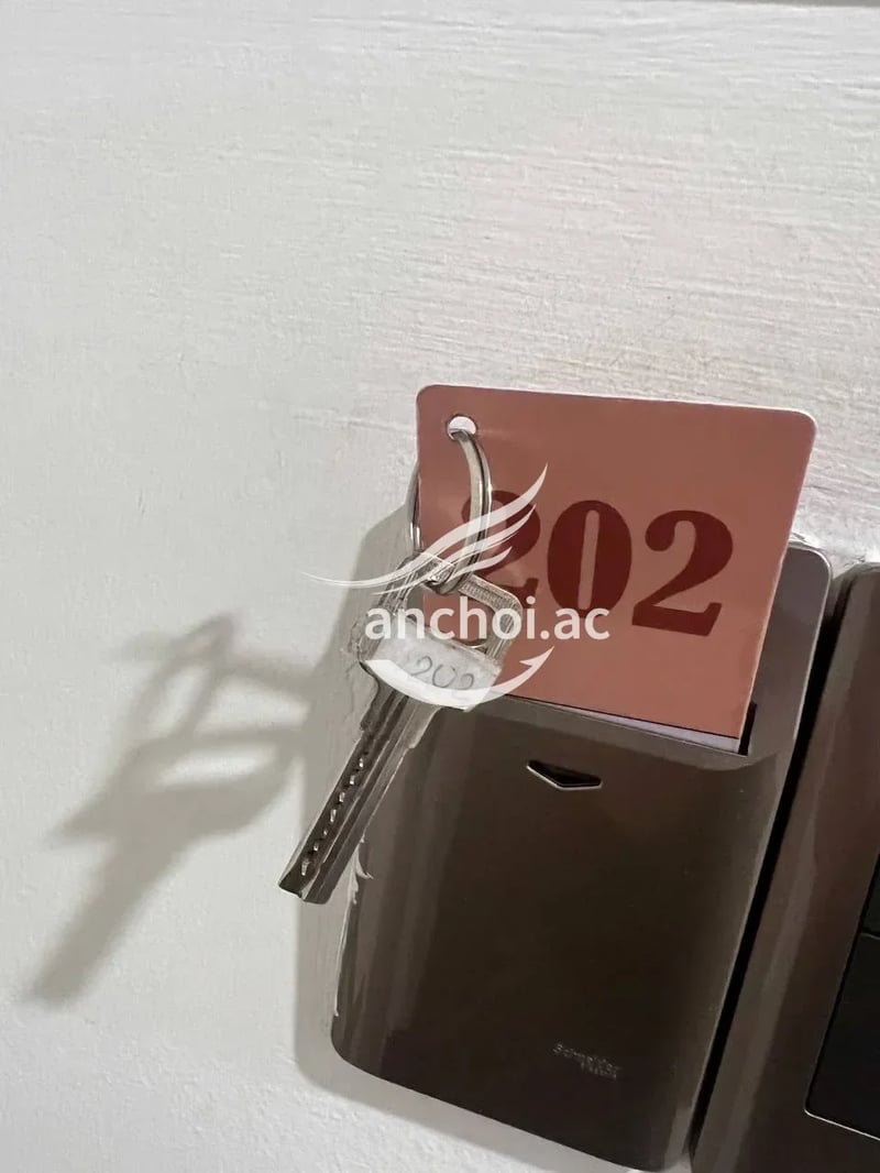 gầm cao mái thoáng người thì săn chắc nước nôi lênh láng — ảnh 3