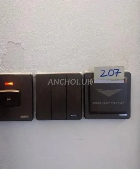một trong những em ngon tình cảm mà mình rất kết — ảnh 3