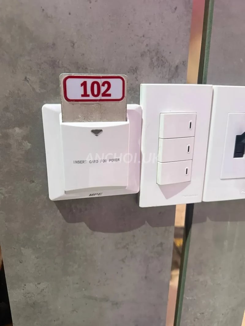 Bé này đi được đấy anh em! Kèn sáo giỏi nhẹ nhàng và tình cảm, ăn nói nhỏ nhẹ cư — ảnh 4