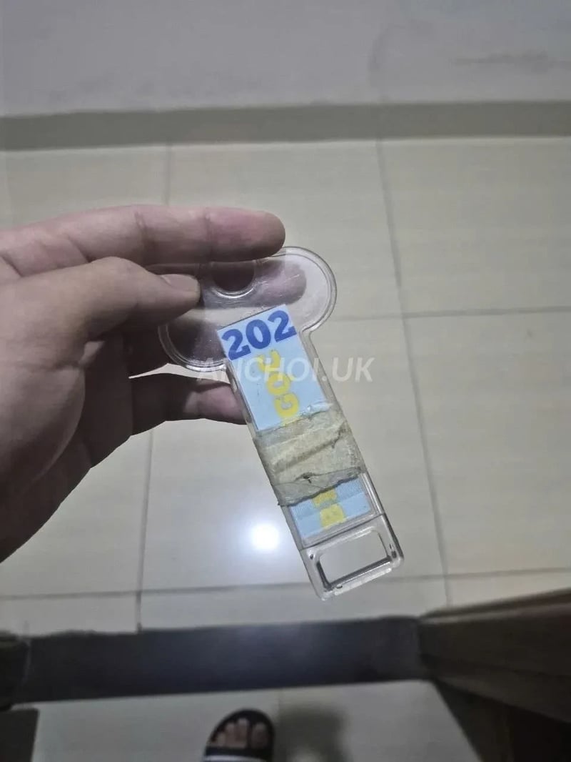 
Quốc Kang
03:59 10/09/2026
Cảm nhận: em này ngoan, nhiệt tình, thổi kèn được, v — ảnh 3