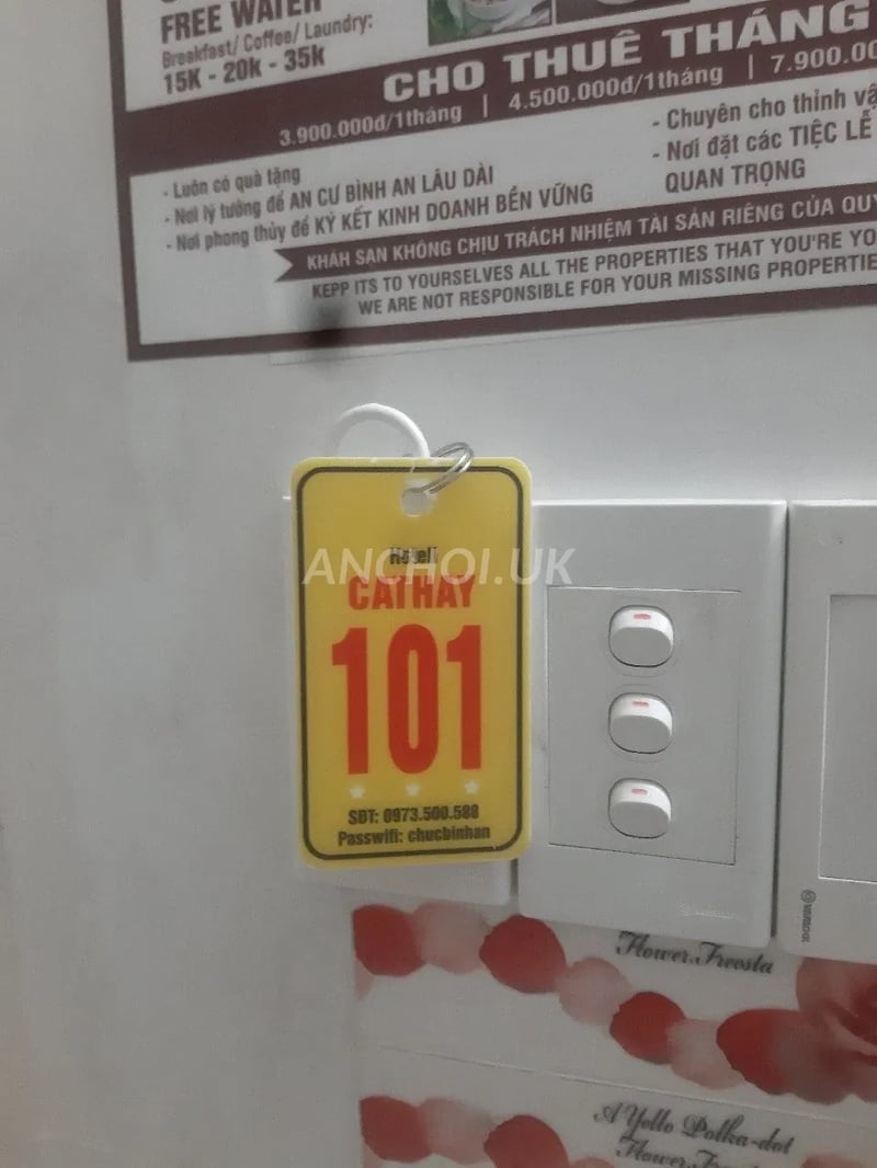 Em nhiệt tình, ngoan hiền lắm, rất đáng check