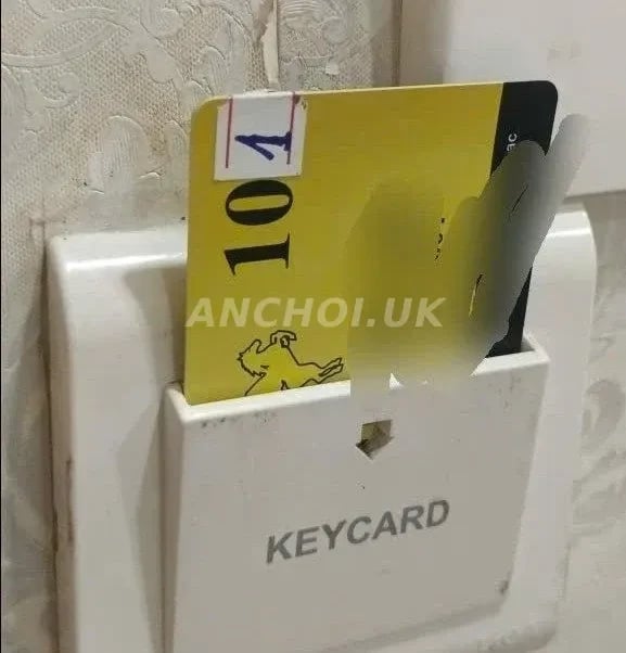 Gặp em ko hối tiếc quá xứng đáng đồng tiền bát gạo,ko hối thúc nhiệt tình dễ thư — ảnh 4