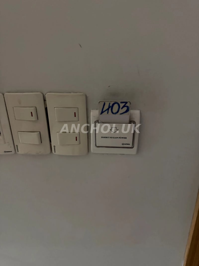 tình cảm nhiệt tình, hàng họ ngon rực rỡ — ảnh 3