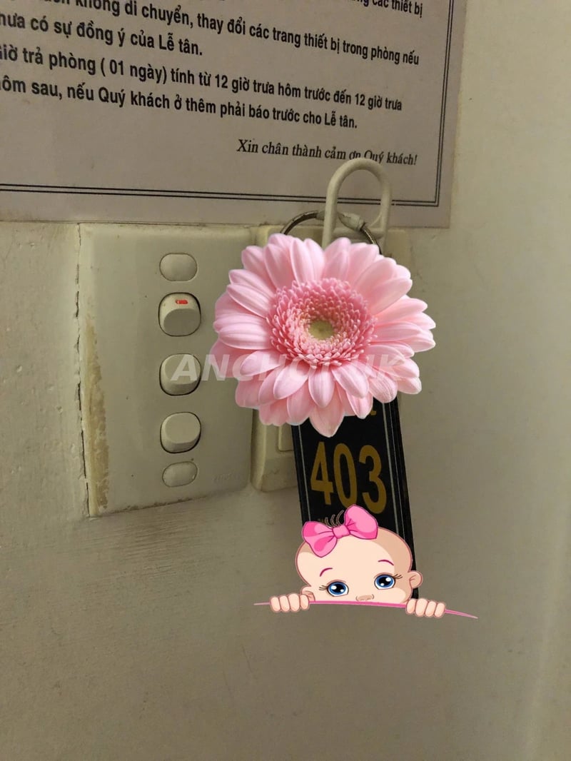 Mong to bím bót dogy quá phê — ảnh 4